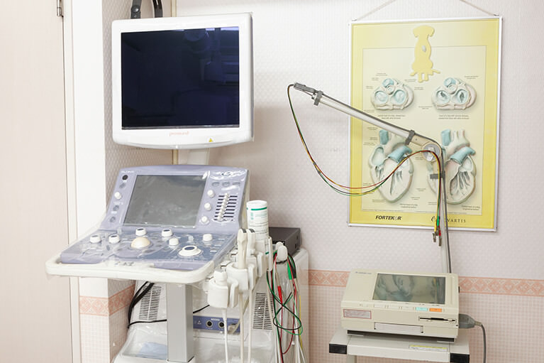 超音波診断装置