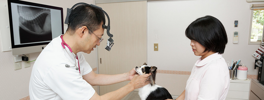 一般的な病気について