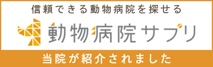 当院が紹介されました