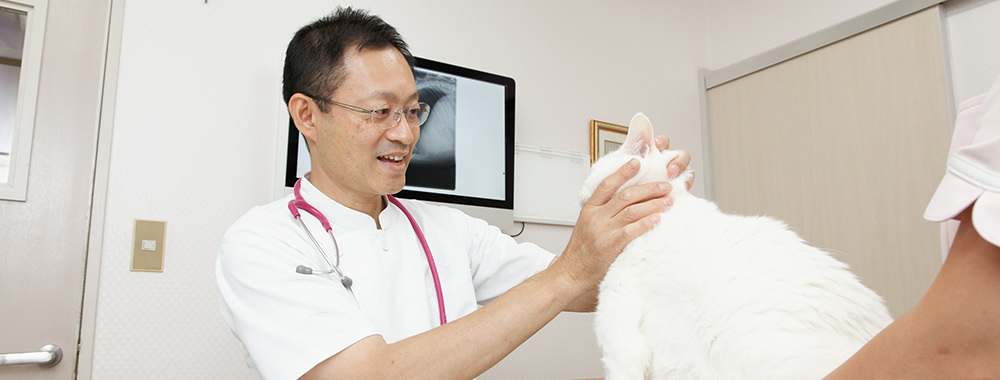 大切にしていること