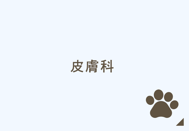 皮膚科