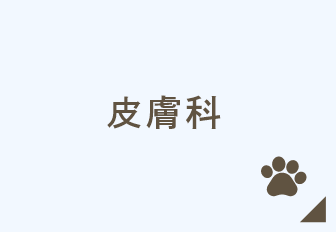 皮膚科