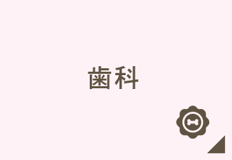 歯科
