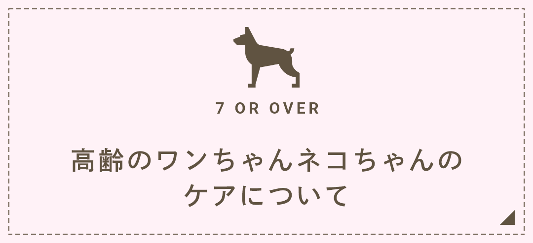 高齢のワンちゃんネコちゃんのケアについて